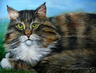 MAINE COON TABBY CAT GICLEE of Painting Kitten Longhair Kasheta Pet 