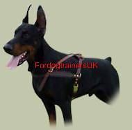 tracking walking leather dog harness h5 for doberman more options 