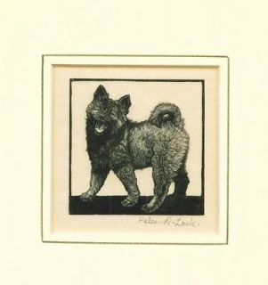 SCARCE Antique Etching 1930s Keeshond Dog SIGNED Puppy by Helen Lock