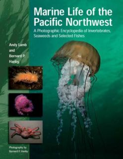 Marine Life of the Pacific Northwest A Photographic Encyclopedia of 