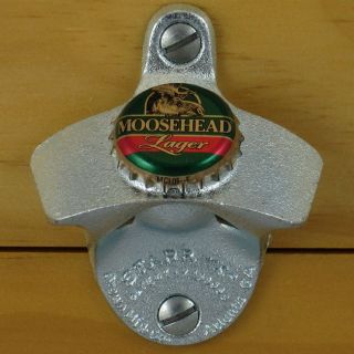 mounted moose head in Sporting Goods