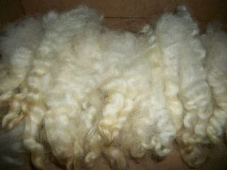 primitive white curly wool locks doll hair santa sam ready