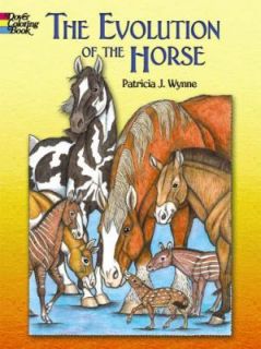 The Evolution of the Horse by Patricia J. Wynne 2008, Paperback