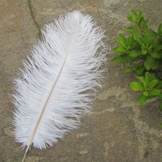   50pcs 6 18inch High Quality Natural OSTRICH FEATHERS Color Selection