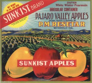 apple crate label vintage watsonville sunkist resetar 