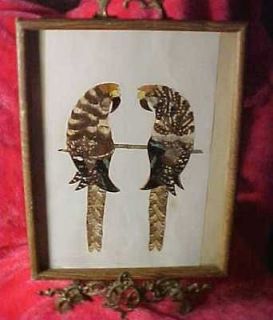   1970s Parrot Picture Made in GABONE AFRICA, from real Butterfly wings