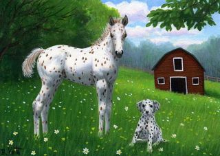 Appaloosa foal horse dalmatian dog summer limited edition aceo print 