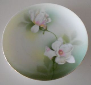 rs germany 8 floral plate  14 00