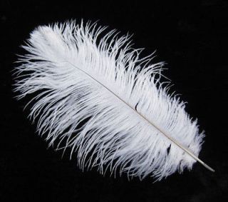 20pcs New White Ostrich Feathers 12 14inch 30 35cm Long. 02