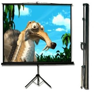 portable projector screen in Consumer Electronics