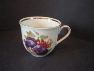 Schumann Orchard plums grapes pattern Tea Cup Arzberg Germany Bavaria