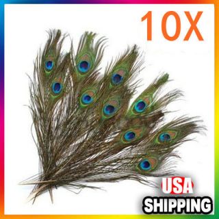   Eye Tail Feather for Halloween Costume Craft Mask Hat Xmas Gift