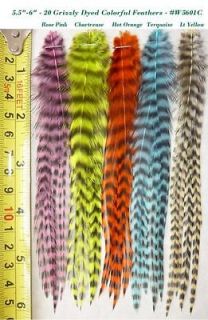 20 Whiting Grizzly Feathers for Hair Extension and Fly Tying, #5601C 5 