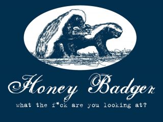 Honey Badger WHAT THE F**K ARE YOU LOOKING AT T Shirt youtube Glee 