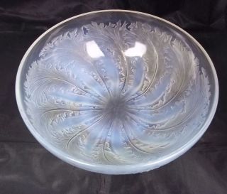 lalique fern pattern chicoree opalescent bowl from united kingdom