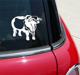 BRAHAM BULL COW CATTLE RANCH BEEF GRAPHIC DECAL STICKER VINYL CAR WALL