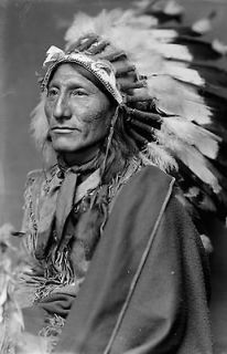 Whirling Horse, Native American wearing headdress, 1901 17 PHOTO repo 