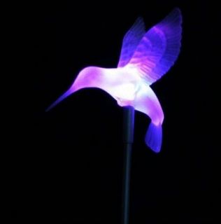 solar humming bird outdoor colour changing garden light from australia