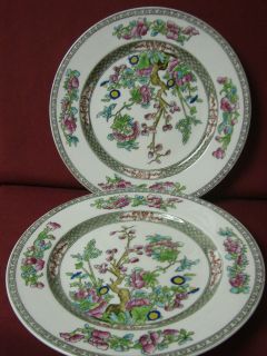   China England Floral Indian tree gray Green Smooth 2 Luncheon plate