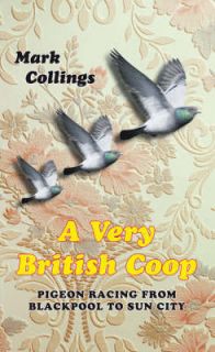   Coop Pigeon Racing from Blackpool to Sun City, Mark Collings, Go