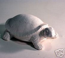 turtle latex mould mold plaster candle soap 1047 from australia