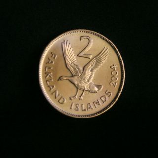   Islands 2 Pence Unc World Coin KM3a Elizabeth II Upland Goose bird