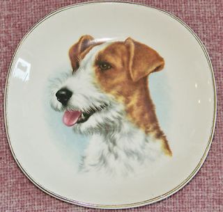   SQUARE DISH TERRIER DOG ROYAL FALCON WARE ENGLAND WEATHERBY HANLEY