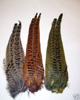 HEN PHEASANT FULL TAIL CLUMPS   AVAILABLE IN 6 DYED COLOURS *CHEAPEST 