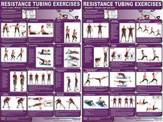 resistance tubing fitness gym wall chart 2 poster set from
