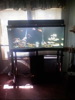 75 Gallon Wave Piano Aquarium Pick Up in Florida Only