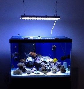65 Gallon Reef Ready Aquarium/ Fish Tank With Stand Lids And Overflow 