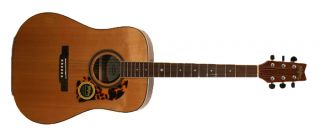 Washburn D12SWALK Dreadnought Acoustic Guitar Natural Solid Spruce Top 