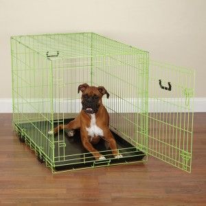   Fashion Color Folding Dog Cage w Divider Value Lime Twist