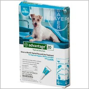 Advantage Flea Control Teal Dogs 11 22 Lbs