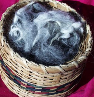 Raw Alpaca Fleece SILVER GRAY 2nd Cuts Wool Craft Felt Spin Weave 1 3 