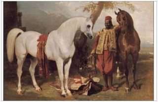 Jumbo Arabian Horse Postcard Alfred de Dreux Painting