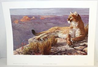 1977 Remington Wildlife Art Collection Pioneers In Conservation (4 