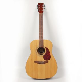 Project Alvarez Regent Acoustic Guitar Nut Needs Replaced
