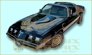 1981 Pontiac Special Edition Turbo Trans Am Decal & Stripe Kit