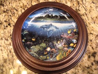 Discovery Off Anahola Plate in Frame w Certificate