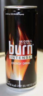 Empty Burn Intense Energy Drink 250 ml Can Korean