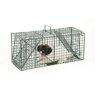 Pet Trex Green Live Animal Trap Racoon Skunk Cat Traps Over 26 inches 