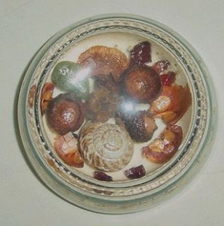 Vintage Magnifying Dome Beaded Glass Paperweight Amber Seashells 