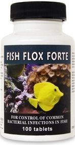 Antibiotics Fish Flox Forte Ciprofloxacin 500mg 30 Count Pharmacy 