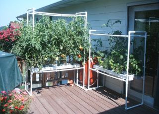 DIY Hydroponics Aquaponic Systems How to Plans Gardening Kit 