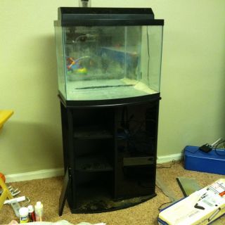 29 Gallon Bow Front Fish Aquarium Tank with Stand