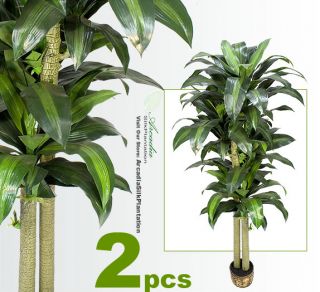 Two Potted 6 Artificial Dracaena Trees Silk Plants 57
