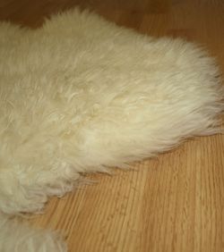 Sheepskin Sheep Skin Rug 43x75 Lambskin Ivory Wool