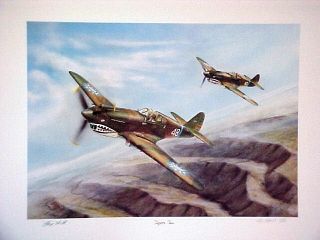   Tigers Two Avg Ace Tex Hill Jay Ashurst Signed Aviation Art