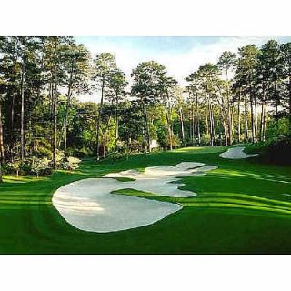   experience augusta at its prime 71000 feedback call 706 796 8810